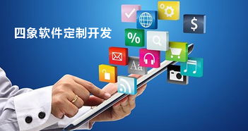 成都軟件開發公司進行軟件定制開發的優勢與缺點